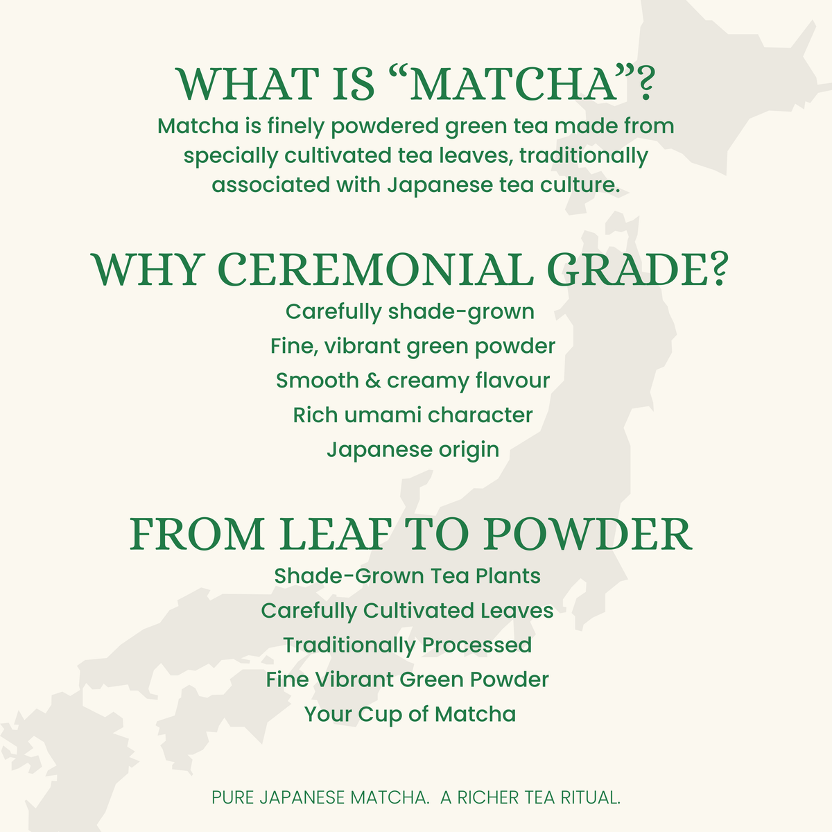 Ceremonial Matcha | Premium & Umami | 50gm | Shizuoka Japan